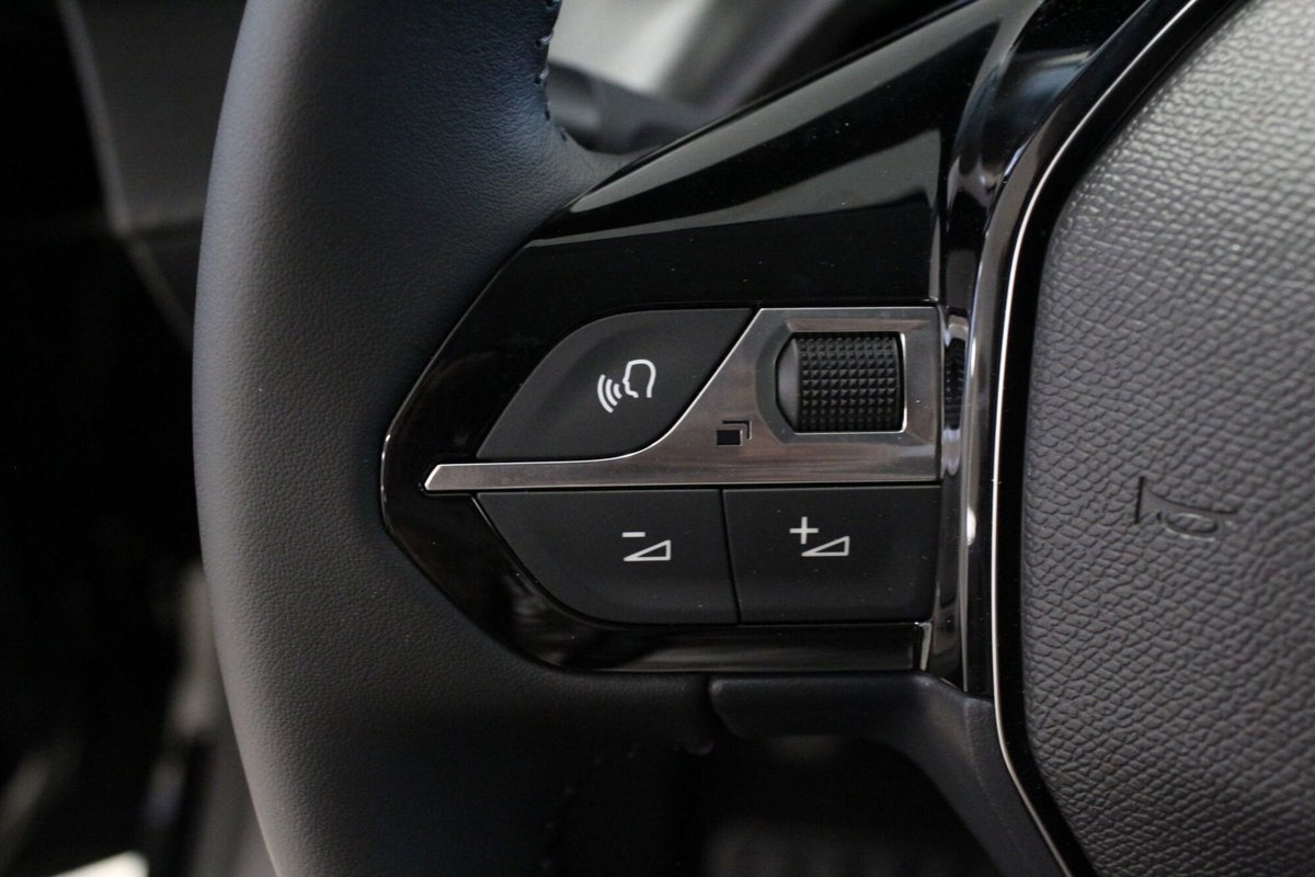 Peugeot 208 PureTech 100 Stop&Start 5 porte Allure (13)