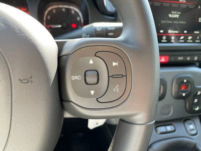 Fiat Panda Cross Cross 1.0 FireFly S&S Hybrid (10)