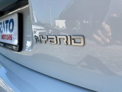 Fiat Panda Cross Cross 1.0 FireFly S&S Hybrid (13)