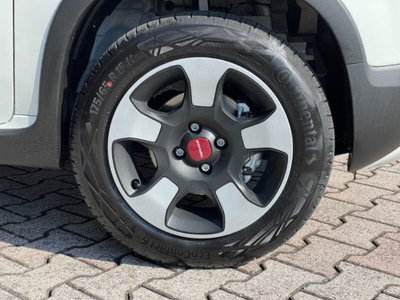 Fiat Panda Cross Cross 1.0 FireFly S&S Hybrid (15)