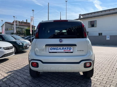Fiat Panda Cross Cross 1.0 FireFly S&S Hybrid (6)