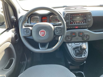 Fiat Panda Cross Cross 1.0 FireFly S&S Hybrid (8)