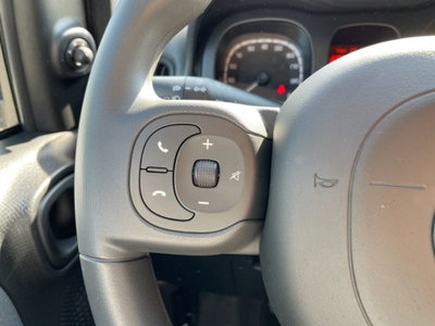 Fiat Panda Cross Cross 1.0 FireFly S&S Hybrid (9)