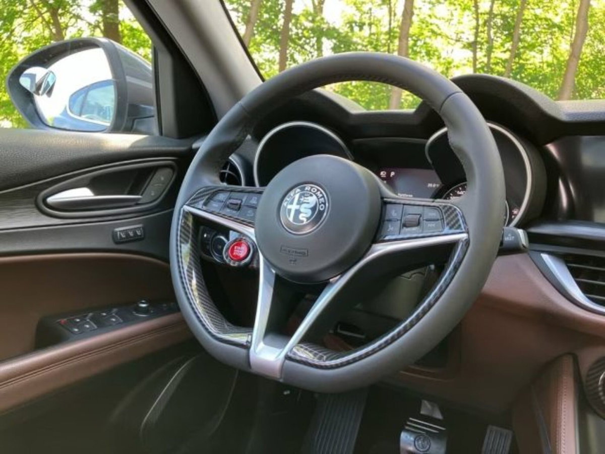 Alfa Romeo Stelvio Stelvio 2.0 Turbo 200 CV AT8 Q4 Super Business (15)