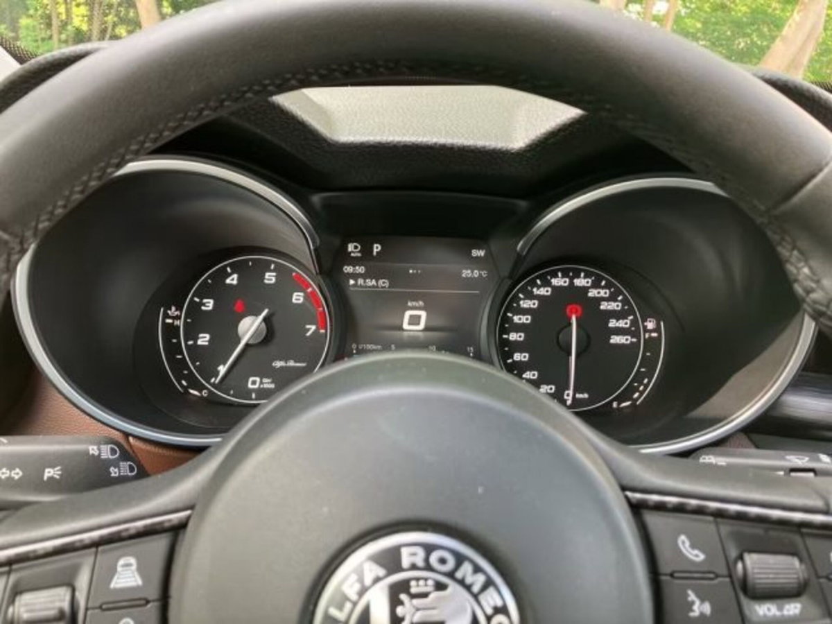 Alfa Romeo Stelvio Stelvio 2.0 Turbo 200 CV AT8 Q4 Super Business (16)