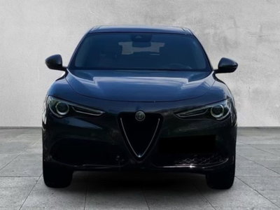 Alfa Romeo Stelvio Stelvio 2.0 Turbo 200 CV AT8 Q4 Super Business (9)