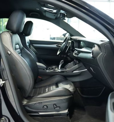 Alfa Romeo Stelvio Stelvio 2.0 Turbo 280 CV AT8 Q4 Veloce (11)