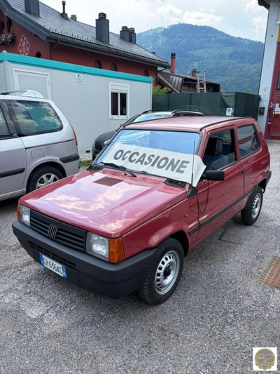 Fiat Panda 1100 i.e. cat Young