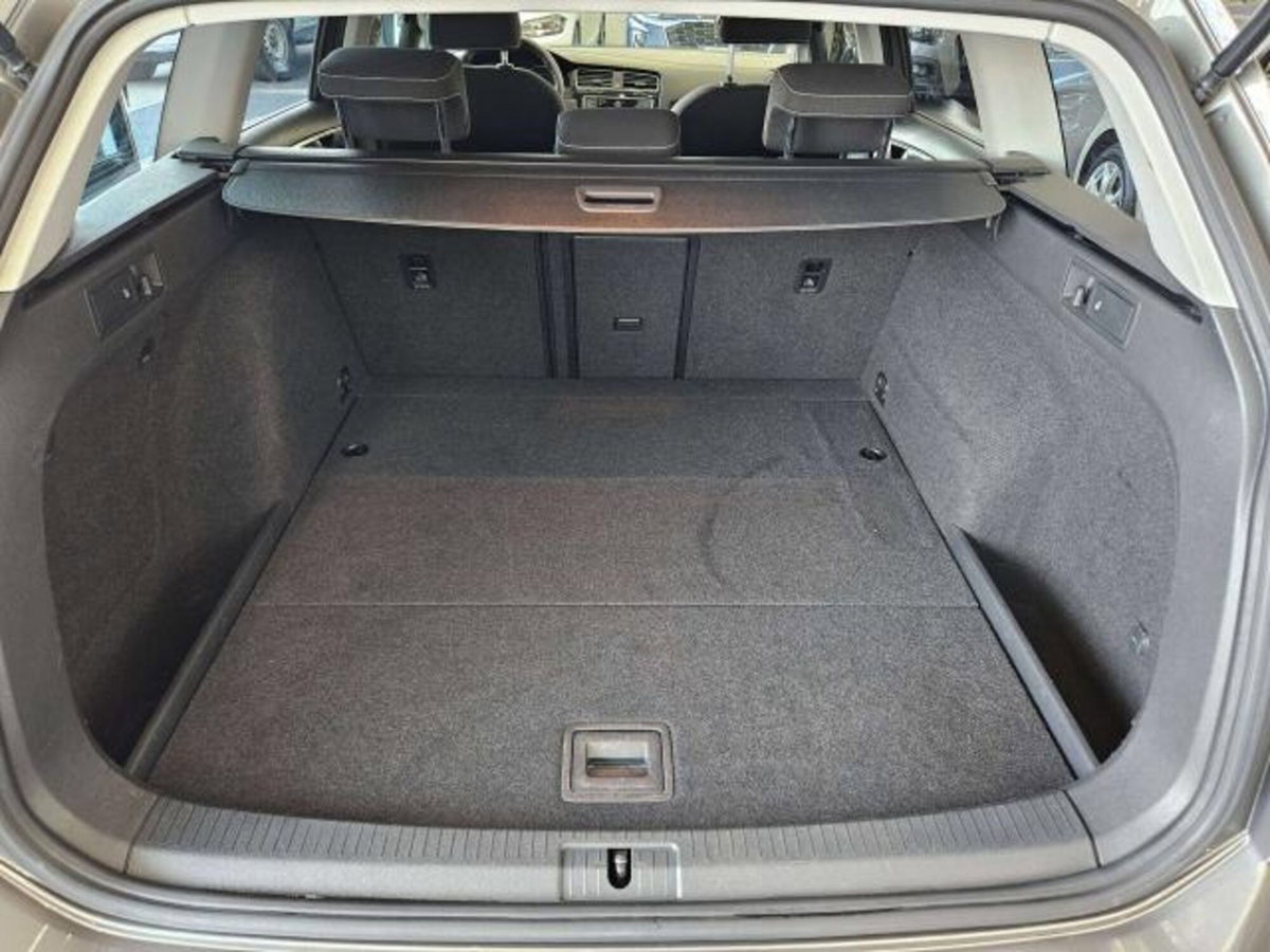 Volkswagen Golf Variant 1.6 BlueTDI 110 CV Comfortline (10)