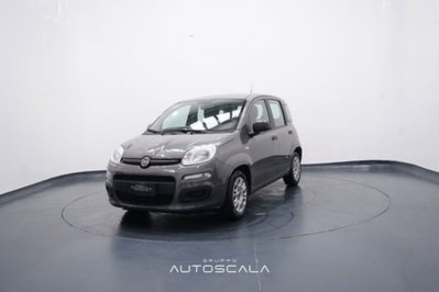 Fiat Panda 1.0 FireFly S&S Hybrid Easy usata