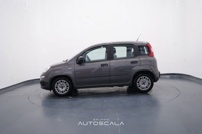 Fiat Panda 1.0 FireFly S&S Hybrid Easy (3)
