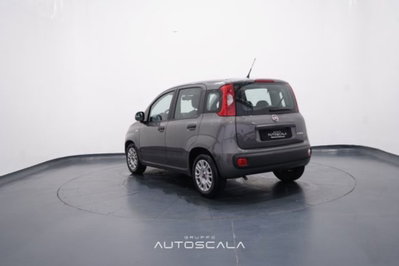 Fiat Panda 1.0 FireFly S&S Hybrid Easy (4)