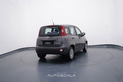 Fiat Panda 1.0 FireFly S&S Hybrid Easy (6)