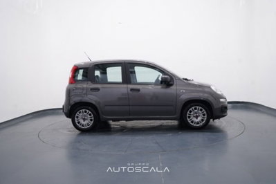 Fiat Panda 1.0 FireFly S&S Hybrid Easy (7)