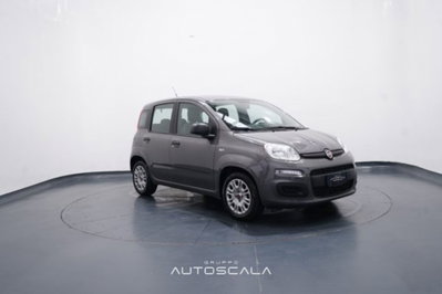 Fiat Panda 1.0 FireFly S&S Hybrid Easy (8)