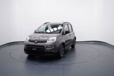 Fiat Panda 1.0 firefly hybrid s&s 70cv 5p.ti usata