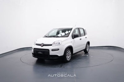 Fiat Panda 1.0 firefly hybrid s&s 70cv 5p.ti usata