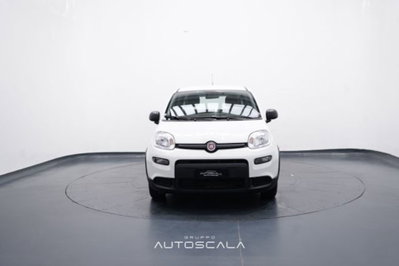 Fiat Panda 1.0 firefly hybrid s&s 70cv 5p.ti (2)