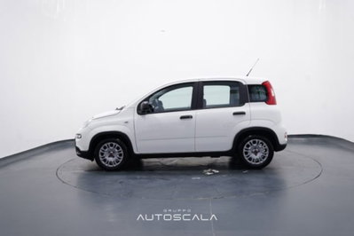 Fiat Panda 1.0 firefly hybrid s&s 70cv 5p.ti (3)