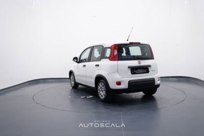 Fiat Panda 1.0 firefly hybrid s&s 70cv 5p.ti (4)