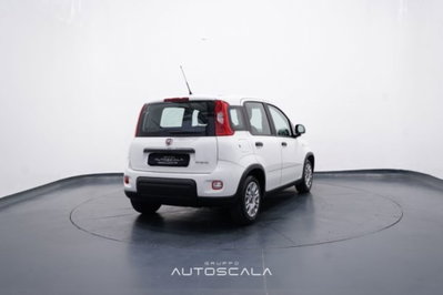 Fiat Panda 1.0 firefly hybrid s&s 70cv 5p.ti (6)