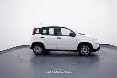 Fiat Panda 1.0 firefly hybrid s&s 70cv 5p.ti (7)