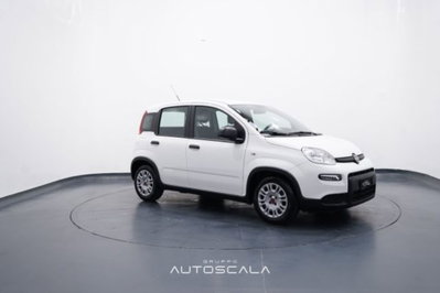 Fiat Panda 1.0 firefly hybrid s&s 70cv 5p.ti (8)