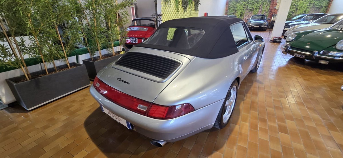 Porsche 911 Cabrio Carrera cat (4)