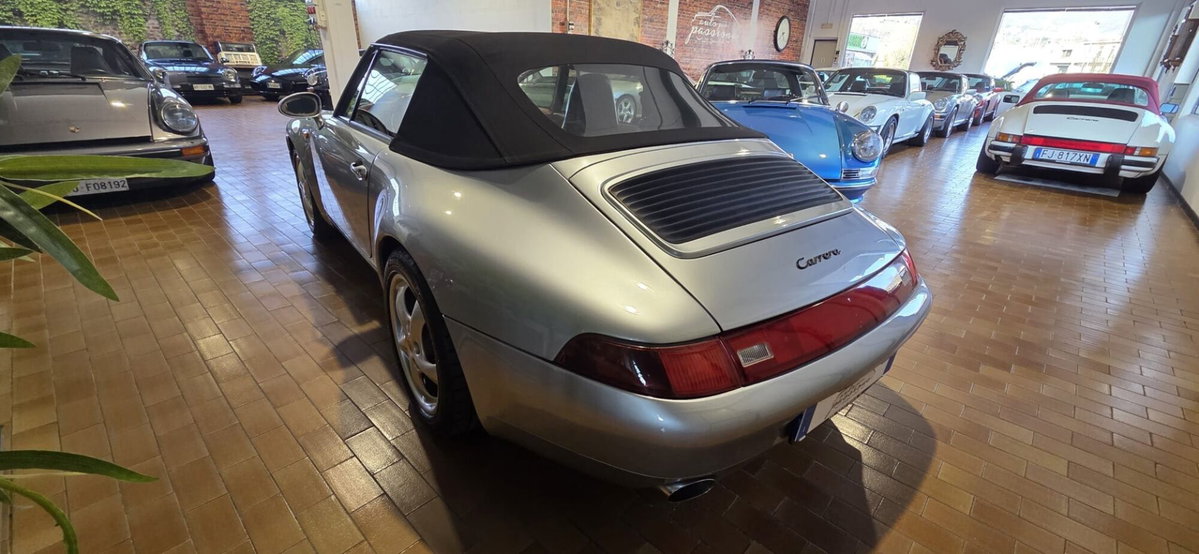 Porsche 911 Cabrio Carrera cat (5)