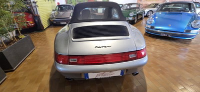 Porsche 911 Cabrio Carrera cat (6)