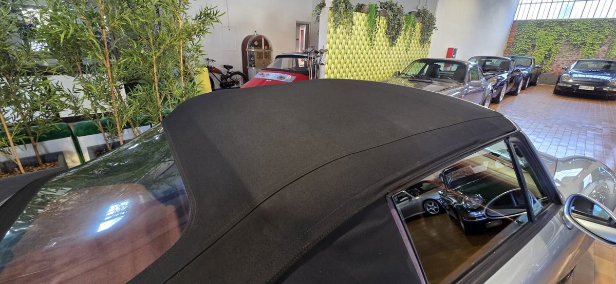 Porsche 911 Cabrio Carrera cat (8)