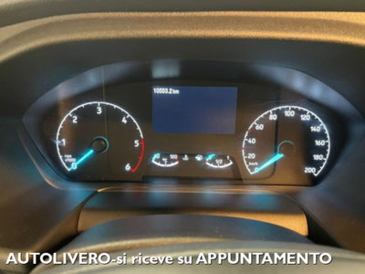 Ford Transit Furgone 350 2.0TDCi EcoBlue 4WD 130 PM-TM Furgone Entry (11)