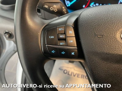Ford Transit Furgone 350 2.0TDCi EcoBlue 4WD 130 PM-TM Furgone Entry (15)