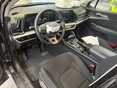 Kia Sportage 1.6 crdi mhev Business dct (16)