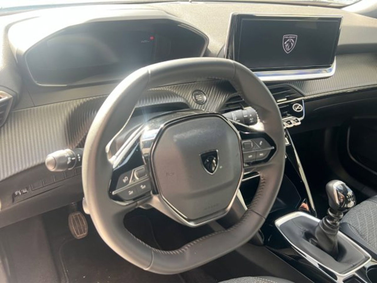 Peugeot 2008 PureTech 100 S&S Allure (12)