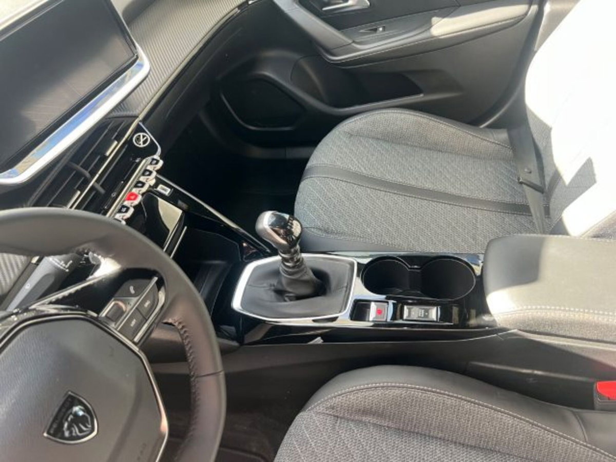 Peugeot 2008 PureTech 100 S&S Allure (15)