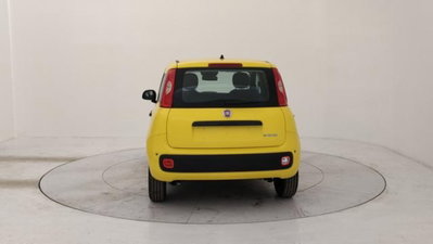 Fiat Panda 1.0 firefly hybrid s&s 70cv 5p.ti (4)