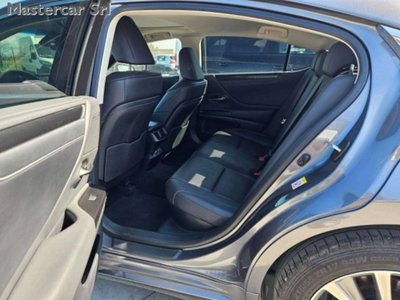 Lexus ES 300h 2.5 Premium cvt (12)