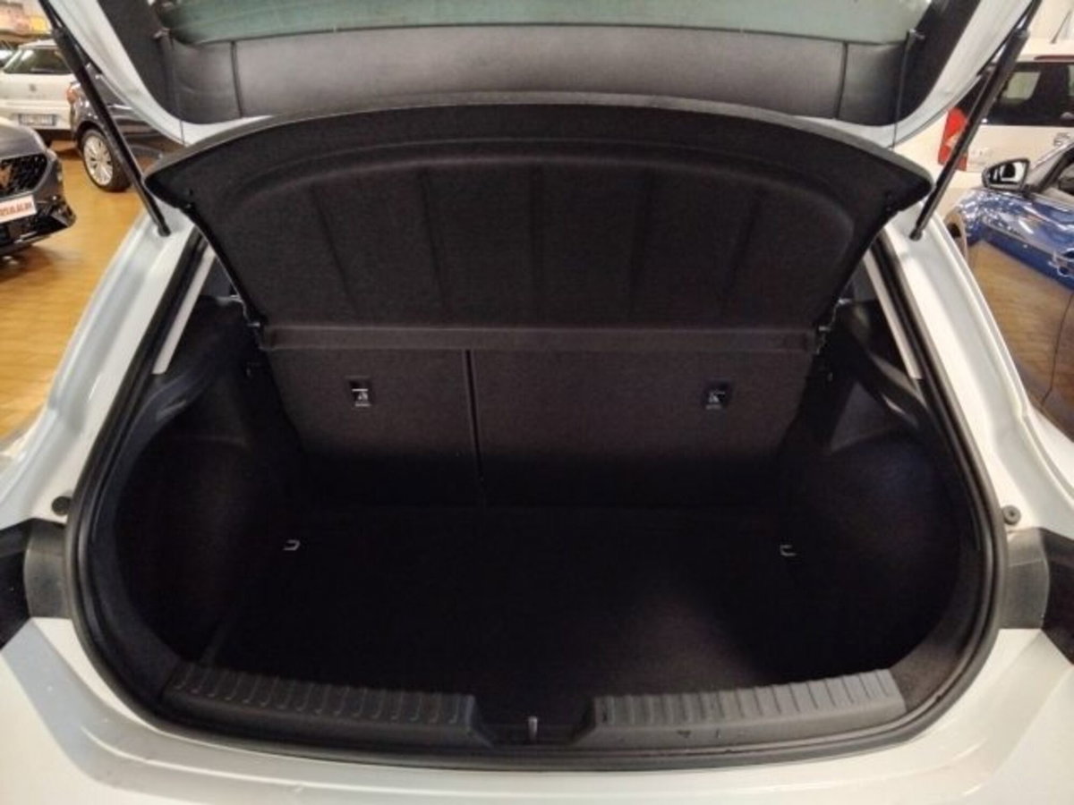 SEAT Leon 2.0 tdi Business 150cv dsg (6)
