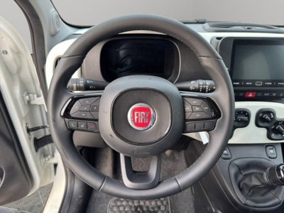 Fiat Panda Cross Cross 1.0 FireFly S&S Hybrid (10)