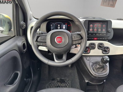 Fiat Panda Cross Cross 1.0 FireFly S&S Hybrid (15)