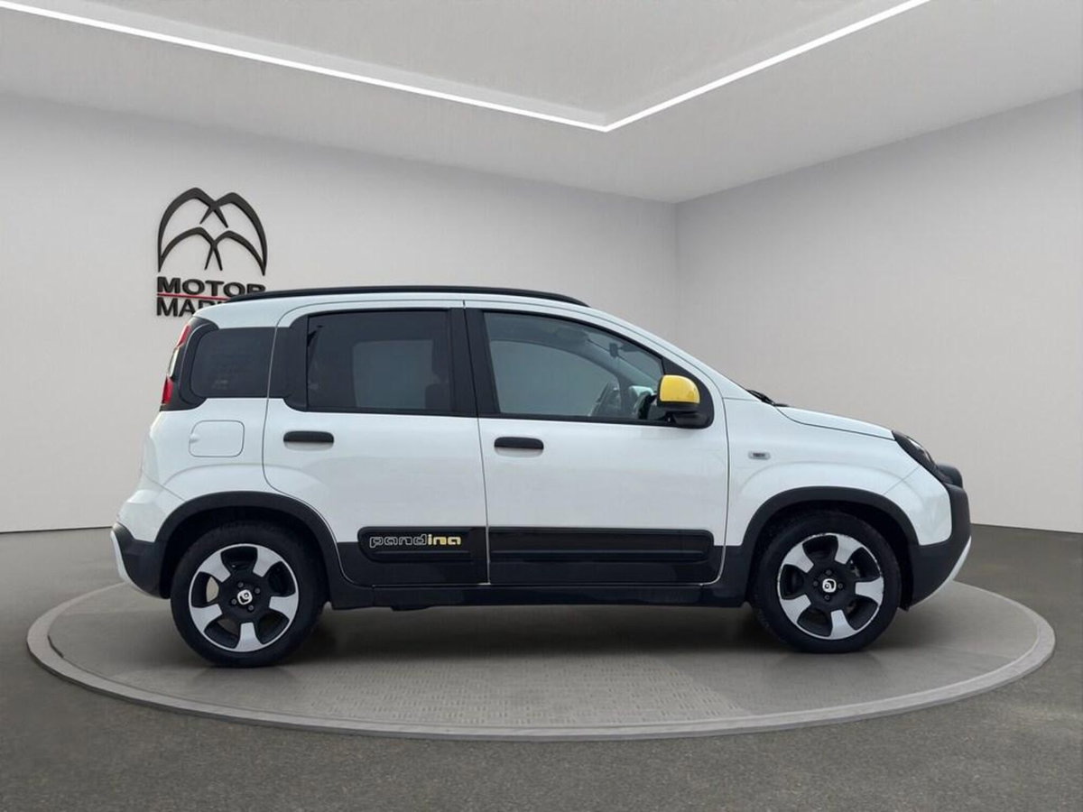 Fiat Panda Cross Cross 1.0 FireFly S&S Hybrid (4)