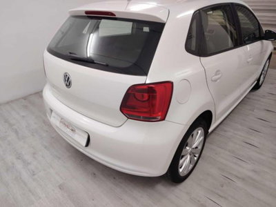 Volkswagen Polo 1.4 5 porte Comfortline (3)