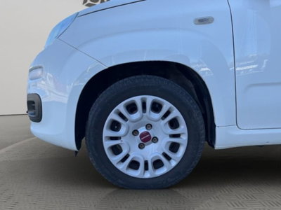 Fiat Panda 1.2 Easy (16)