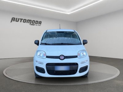 Fiat Panda 1.2 Easy (2)