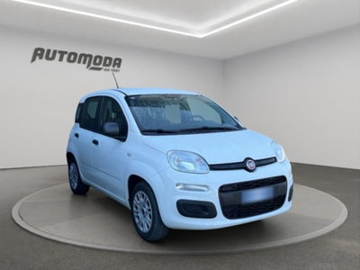 Fiat Panda 1.2 Easy (3)