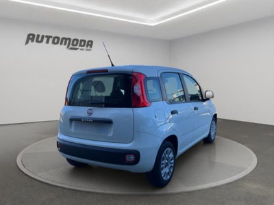 Fiat Panda 1.2 Easy (4)