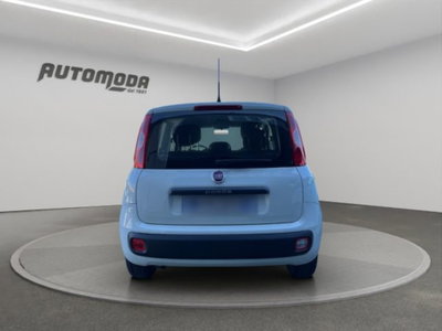 Fiat Panda 1.2 Easy (5)