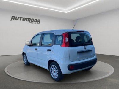 Fiat Panda 1.2 Easy (6)