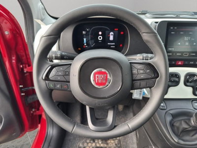 Fiat Panda Cross Cross 1.0 FireFly S&S Hybrid (10)